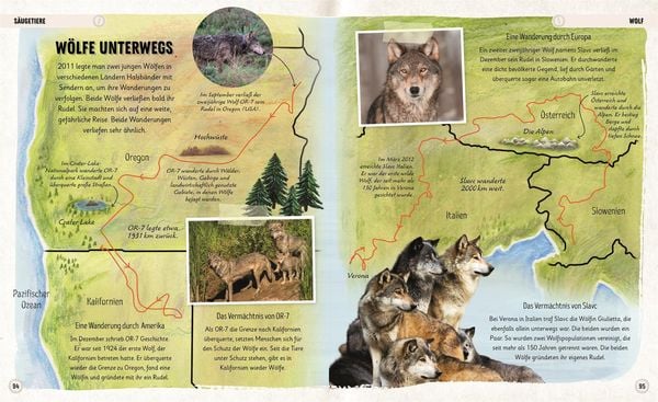 Produktbild: Erstaunliche Wanderungen der Tiere