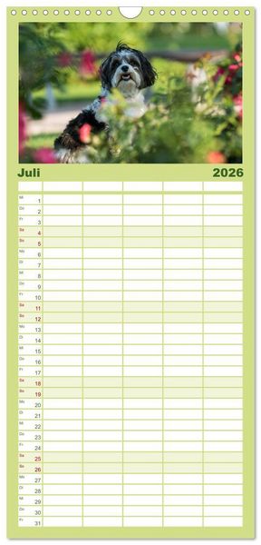Produktbild: Familienplaner 2026 - Spa&szlig; mit Havanesern mit 5 Spalten (Wandkalender, 21 x 45 cm) CALVENDO