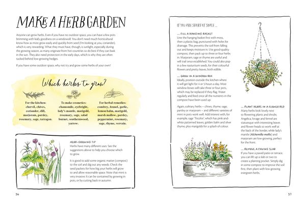 Produktbild: The Magic of Seeds