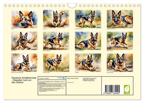 Produktbild: Deutsche Sch&auml;ferhunde - Klassiker rund um den Globus (Wandkalender 2026 DIN A4 quer), CALVENDO Monatskalender