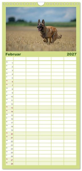Produktbild: Familienplaner 2027 - Belgischer Sch&auml;ferhund - Der Malinois in Action mit 5 Spalten (Wandkalender, 21 x 45 cm) CALVENDO