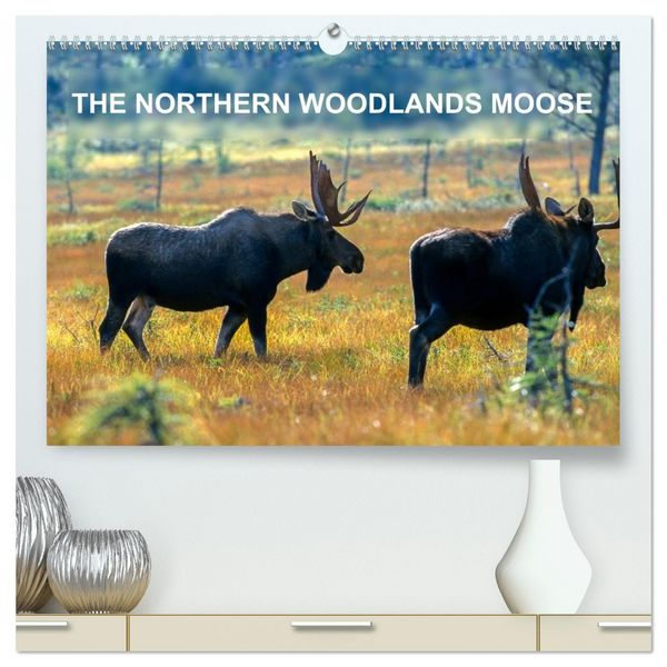 Produktbild: THE NORTHERN WOODLANDS MOOSE (High Quality Premium Wall Calendar 2026 DIN A2 landscape),CALVENDO 12 Month Wall Calendar