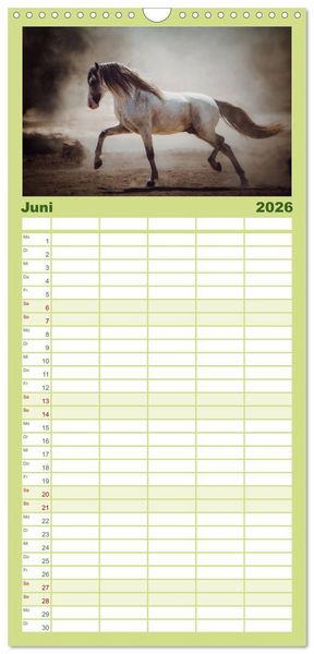 Produktbild: Familienplaner 2026 - Die Faszinierende Welt der Pferde mit 5 Spalten (Wandkalender, 21 x 45 cm) CALVENDO