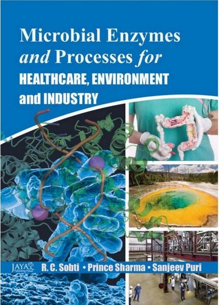 Produktbild: Microbial Enzymes And Processes For Healthcare, Environment And Industry