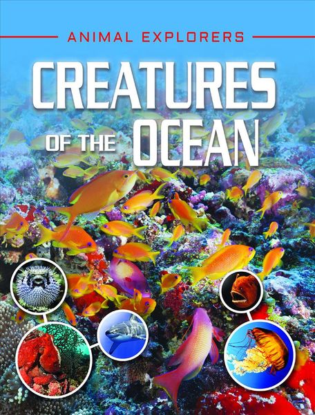 Produktbild: Creatures Of The Ocean