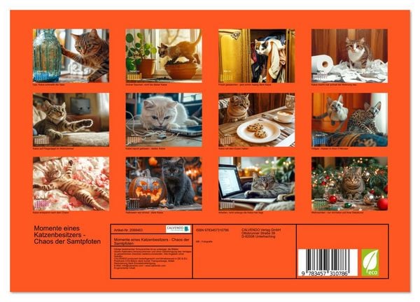Produktbild: Momente eines Katzenbesitzers - Chaos der Samtpfoten (Wandkalender 2026 DIN A4 quer), CALVENDO Monatskalender