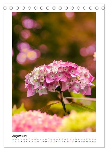 Produktbild: Bubble Bokeh (Tischkalender 2026 DIN A5 hoch), CALVENDO Monatskalender