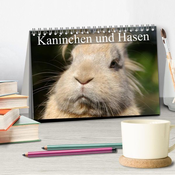 Produktbild: Kaninchen und Hasen (Tischkalender 2026 DIN A5 quer), CALVENDO Monatskalender