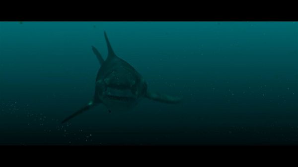 Produktbild: Megalodon Rising - Dieses Mal kommt er nicht allein