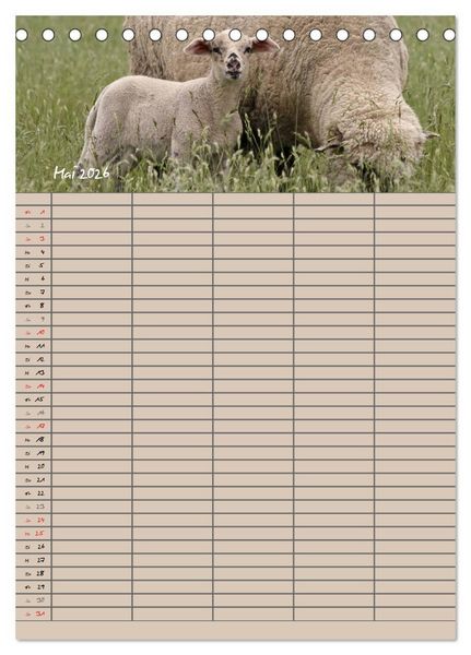 Produktbild: Der bel&auml;mmerte Familienplaner (Tischkalender 2026 DIN A5 hoch), CALVENDO Monatskalender