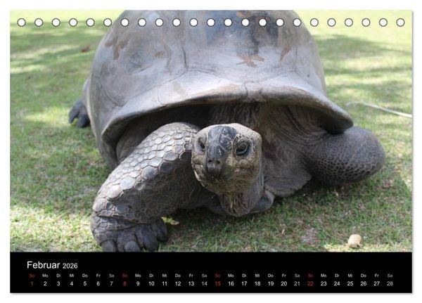 Produktbild: Seychellen (Tischkalender 2026 DIN A5 quer), CALVENDO Monatskalender