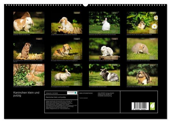 Produktbild: Kaninchen klein und putzig (hochwertiger Premium Wandkalender 2027 DIN A2 quer), Kunstdruck in Hochglanz