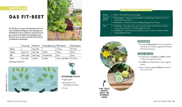 Produktbild: Keine Zeit zu g&auml;rtnern &ndash; Easy Erntegl&uuml;ck im Hochbeet