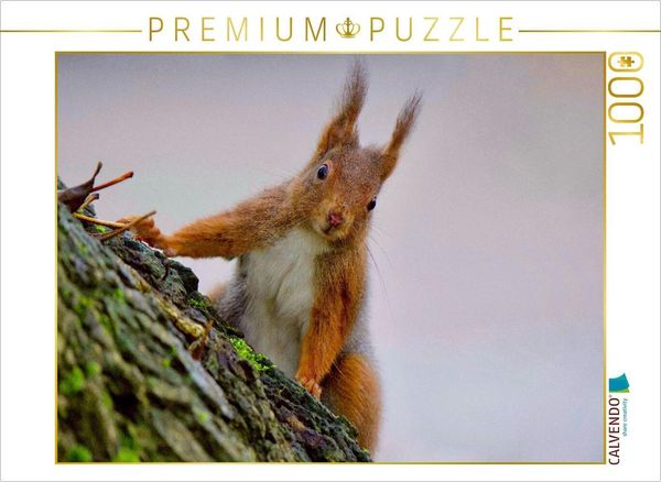 CALVENDO Puzzle Auge in Auge | 1000 Teile Lege-Größe 64x48cm Foto-Puzzle für glückliche Stunden