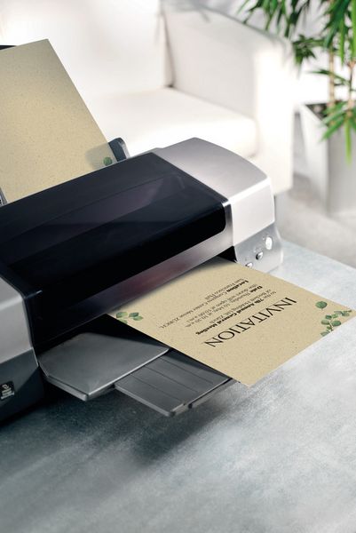 Produktbild: Motivpapier Eucalyptus DIN A4 100g/m&sup2; 100 Blatt