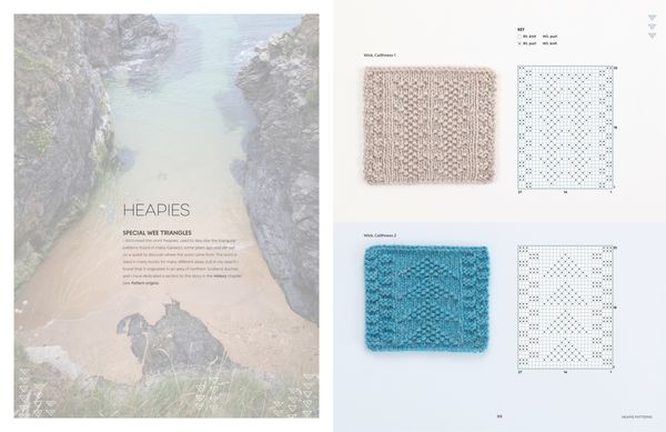 Produktbild: The Gansey Knitting Sourcebook