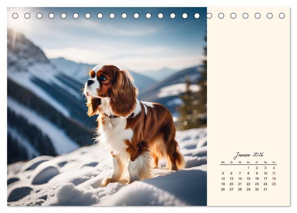 Produktbild: Goldige Kavalier King Charles Spaniels (Tischkalender 2026 DIN A5 quer), CALVENDO Monatskalender