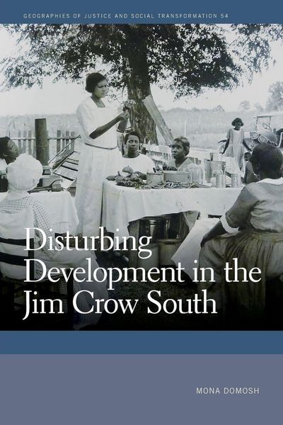 Produktbild: Disturbing Development in the Jim Crow South