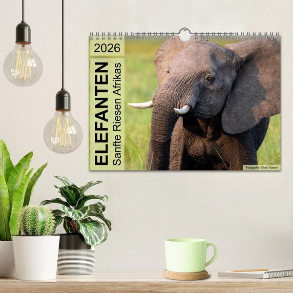 Produktbild: Elefanten - Sanfte Riesen Afrikas (Wandkalender 2026 DIN A4 quer), CALVENDO Monatskalender
