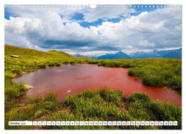 Produktbild: Pinzgauer Spaziergang (Wandkalender 2026 DIN A3 quer), CALVENDO Monatskalender