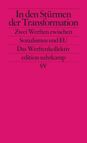 In den Stürmen der Transformation, Taschenbuch von Philipp Ther , Ulf Brunnbauer , Piotr Filipkowski , Andrew Hodges , Stefano Petrungaro, Suhrkamp,