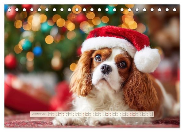 Produktbild: Cavalier King Charles Spaniel. Die lustigsten Cavalier Momente des Jahres. (Tischkalender 2027 DIN A5 quer), CALVENDO Monatskalender