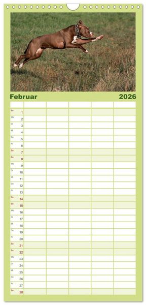 Produktbild: Familienplaner 2026 - Hunde Action mit 5 Spalten (Wandkalender, 21 x 45 cm) CALVENDO