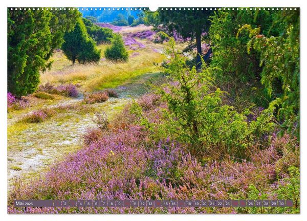 Produktbild: L&uuml;neburger Heide - Wanderung rund um Wilsede und Totengrund (Wandkalender 2026 DIN A2 quer), CALVENDO Monatskalender