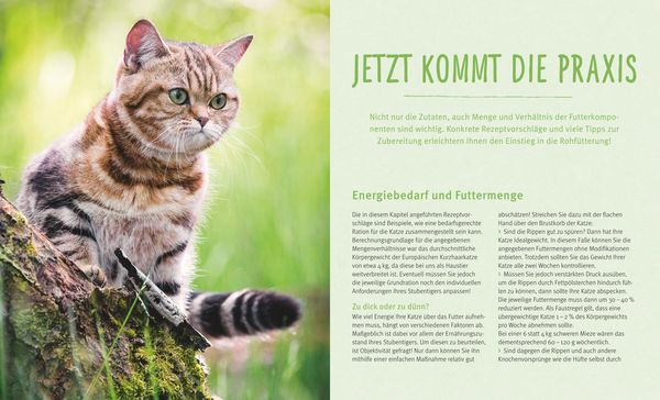 Produktbild: BARF f&uuml;r Katzen