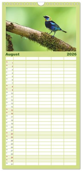 Produktbild: Familienplaner 2026 - Costa Ricas gefiederte Pracht mit 5 Spalten (Wandkalender, 21 x 45 cm) CALVENDO