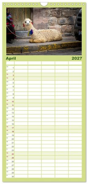 Produktbild: Familienplaner 2027 - Unter Lamas und Alpakas mit 5 Spalten (Wandkalender, 21 x 45 cm) CALVENDO