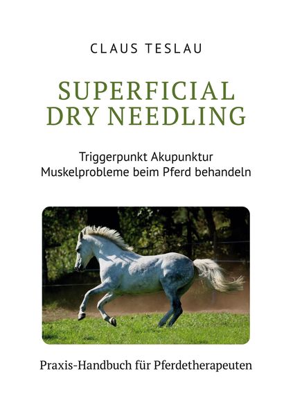 Produktbild: Superficial Dry Needling