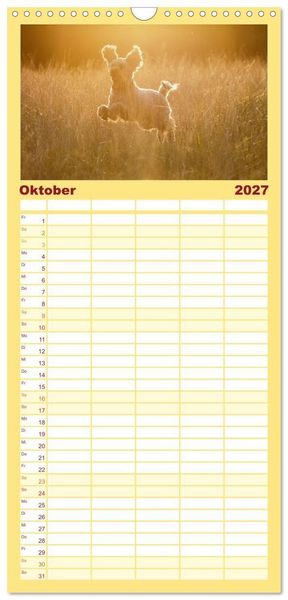 Produktbild: Familienplaner 2027 - Lockenw&ouml;lfe - Energieb&uuml;ndel Pudel mit 5 Spalten (Wandkalender, 21 x 45 cm) CALVENDO