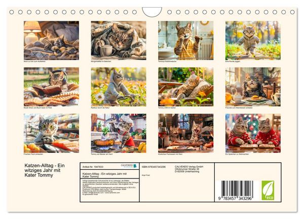 Produktbild: Katzen-Alltag - Ein witziges Jahr mit Kater Tommy (Wandkalender 2026 DIN A4 quer), CALVENDO Monatskalender