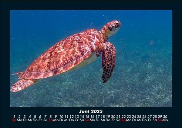 Produktbild: Karibik 2025 Fotokalender DIN A5