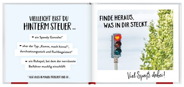 Zum Führerschein - Die Straße gehört jetzt dir!