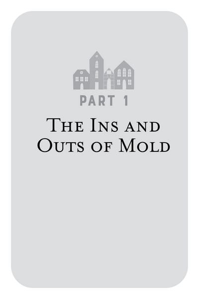 Produktbild: The Toxic Mold Solution
