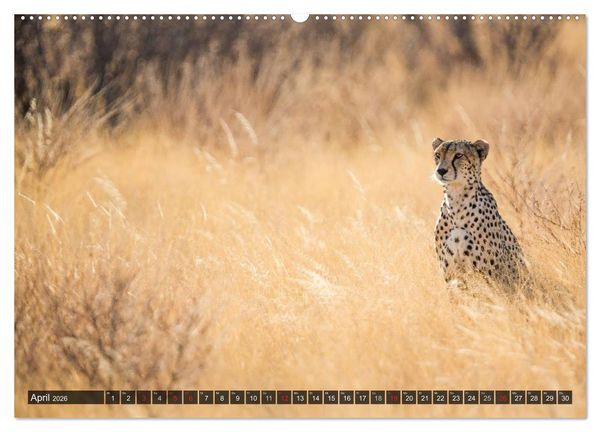 Produktbild: Kenia 2026 (hochwertiger Premium Wandkalender 2026 DIN A2 quer), Kunstdruck in Hochglanz