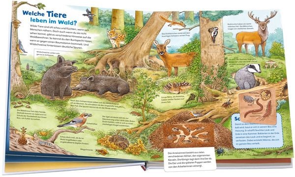 Produktbild: WAS IST WAS Junior Entdecke die Natur
