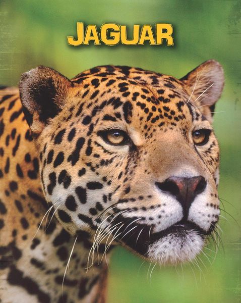 Produktbild: Jaguars