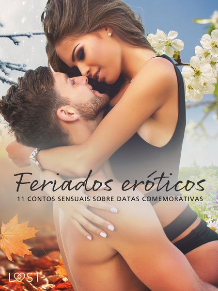 Produktbild: Feriados er&oacute;ticos: 11 contos sensuais sobre datas comemorativas