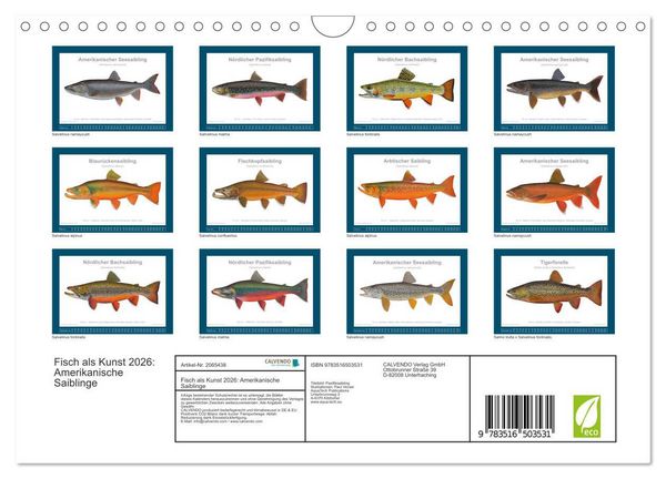 Produktbild: Fisch als Kunst 2026: Amerikanische Saiblinge (Wandkalender 2026 DIN A4 quer), CALVENDO Monatskalender