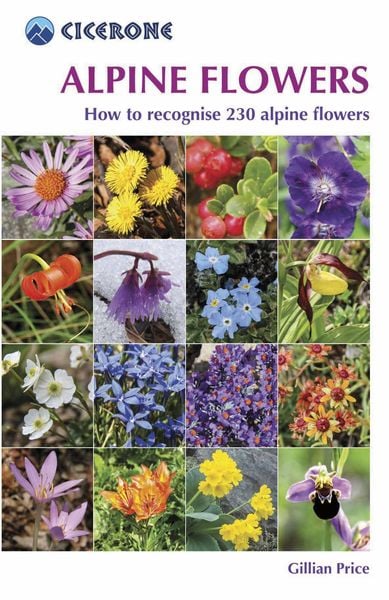 Produktbild: Alpine Flowers