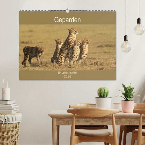 Produktbild: Geparden - Ein Leben in Afrika (Wandkalender 2026 DIN A2 quer), CALVENDO Monatskalender
