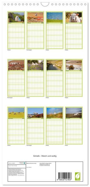 Produktbild: Familienplaner 2026 - Schafe - Weich und wollig mit 5 Spalten (Wandkalender, 21 x 45 cm) CALVENDO