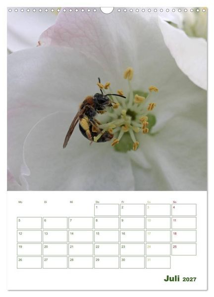 Produktbild: Bienen-Terminplaner 2027 (Wandkalender 2027 DIN A3 hoch), CALVENDO Monatskalender