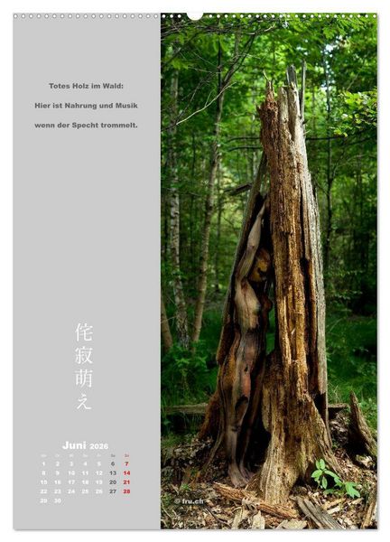 Produktbild: wabi sabi moe &mdash; bewundernswert verg&auml;nglich erotisch &mdash; Akt/Bodypainting (Wandkalender 2026 DIN A2 hoch), CALVENDO Monatskalender