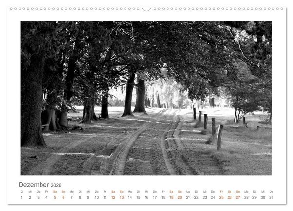 Produktbild: Quo Vadis? W&auml;lder und Wege in der R&ouml;hn, L&uuml;neburger Heide und der Mecklenburgischen Seenplatte (Wandkalender 2026 DIN A2 quer), CALVENDO Monatskalender