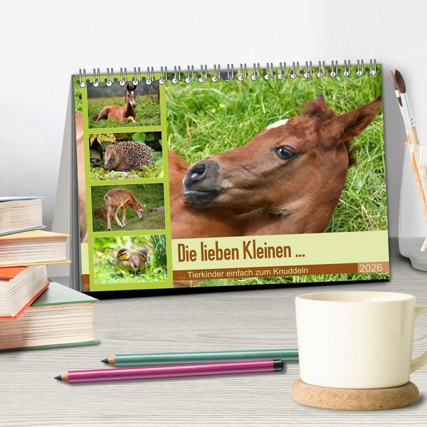 Produktbild: Die lieben Kleinen ... Tierkinder einfach zum Knuddeln (Tischkalender 2026 DIN A5 quer), CALVENDO Monatskalender