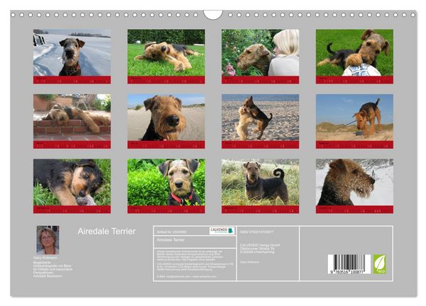 Produktbild: Airedale Terrier (Wandkalender 2026 DIN A3 quer), CALVENDO Monatskalender